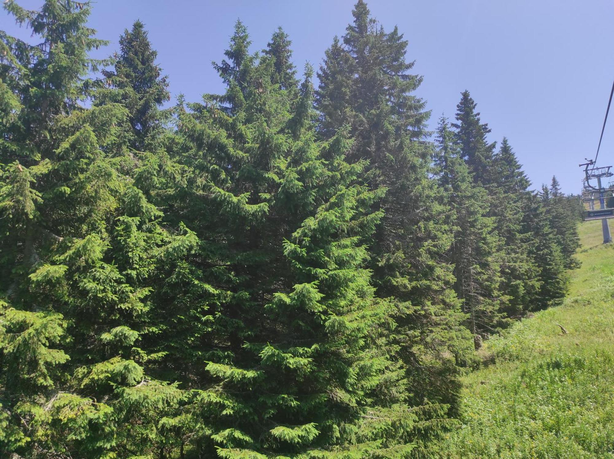Luksuzni Dupleks Kopaonik Exterior photo