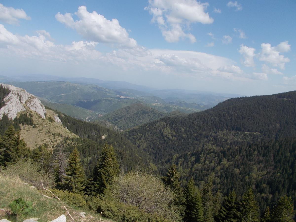 Luksuzni Dupleks Kopaonik Exterior photo